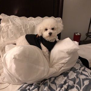 Meet your Posher, Mia